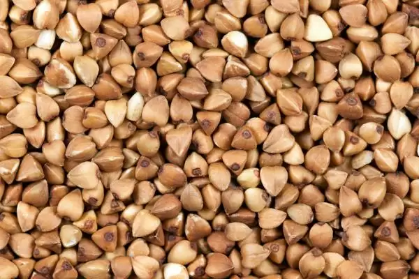 buckwheat_seeds_cc_ervins_strauhmanis_th
