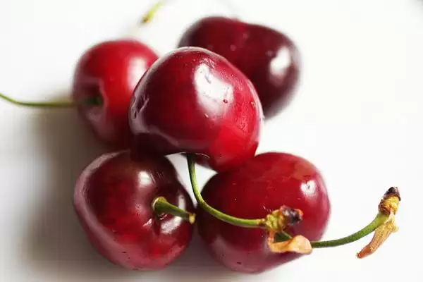 cherries_CC--bodegon_simple_thumb.webp
