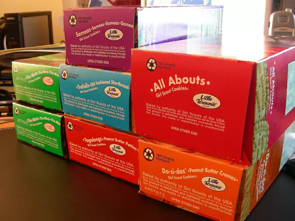 girl_scout_cookies--jayjayoh.webp