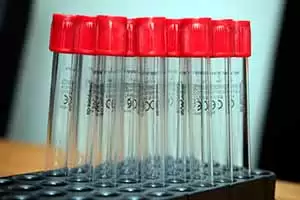 Photo: CC--Håkan Dahlström.