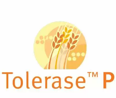 tolerase_p--dsm_inc.webp