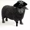 Black Sheep