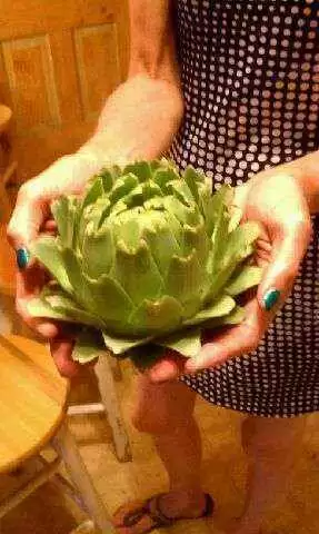 post-37366-0-60628500-1371327963_thumb.j