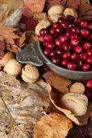 Quinoa with Cranberries and Toasted Pecans (Gluten-Free)