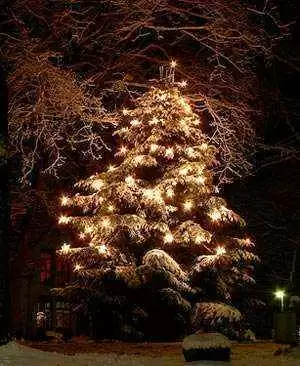 A Gluten-Free Christmas Tree!