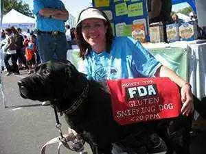 Monty the gluten-sniffing dog