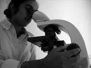 Live Fluorescence Imaging of Exogenous Enzyme Action in the Gastrointestinal Tract - Photo: CC-timbrauhn