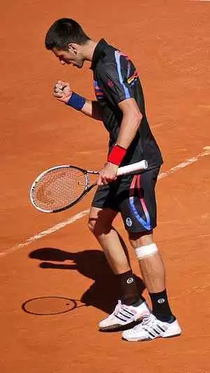 Djokovic shown at the 2011 French Open-Photo: CC--y.caradec Djokovic shown at the 2011 French Open-Photo: CC--y.caradec