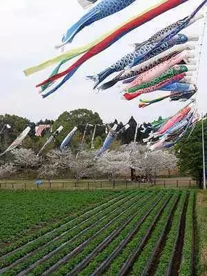 Photo: CC--tiny.cc Photo: CC--tiny.cc