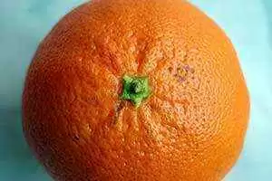 Photo: CC - articotropical