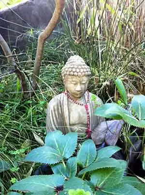 Photo: Jefferson Adams