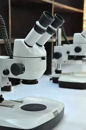 Photo: CC--IITA Image Library