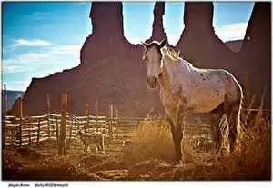 Photo: CC-Moyan Brenn