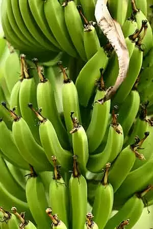 Photo: CC--zenobia_joy Photo: CC--zenobia_joy