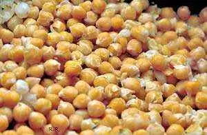 Garbanzo Bean Flour Plays a Starring Role in Gluten-Free Cooking - Photo: CC--EcoVirtual