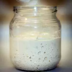 Fermenting sourdough starter. Photo: CC--Nicola Since 1972 Fermenting sourdough starter. Photo: CC--Nicola Since 1972