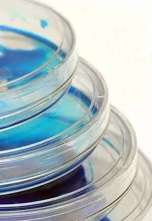 Photo: CC--Carolina Biological Supply