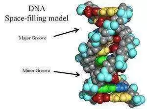 Photo: CC-- Allen Gathman