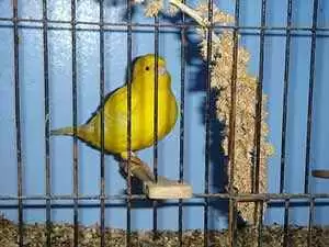 Photo: CC--Lisa Connolly