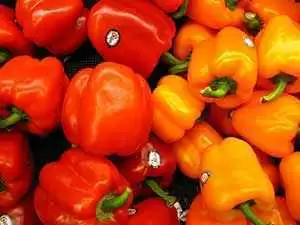 Photo: CC--Fovea Centralis