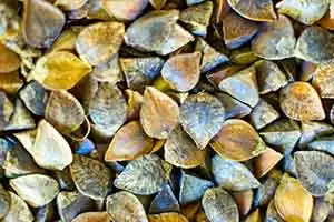 Photo: CC-- Bob Dass