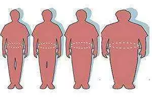 Image: CC--Mike Licht