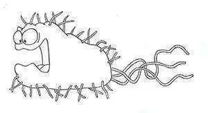 Image: CC--carmelats