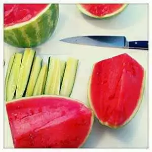 Photo: CC--Dana Robinson