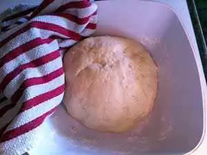 Raising: Authentic Foods Steve's Gluten-Free Bread Flour Blend Raising: Authentic Foods Steve's Gluten-Free Bread Flour Blend