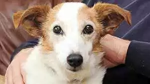 Photo: SWNS/The Daily Mail