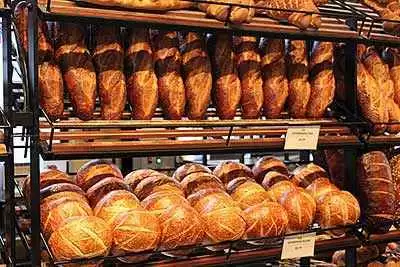 Photo: Christina D. C. Hoeppner