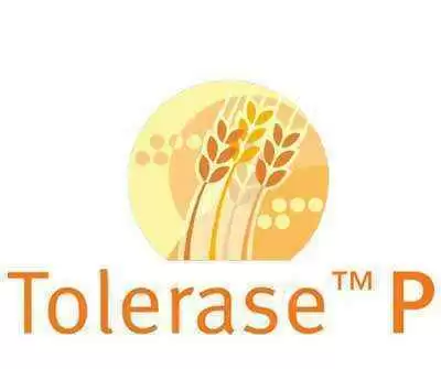 Image: Tolerase--DSM, inc.