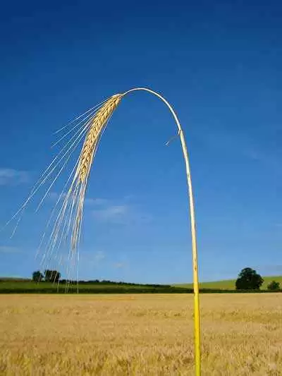 Photo: CC--Allispossible.org.uk Photo: CC--Allispossible.org.uk