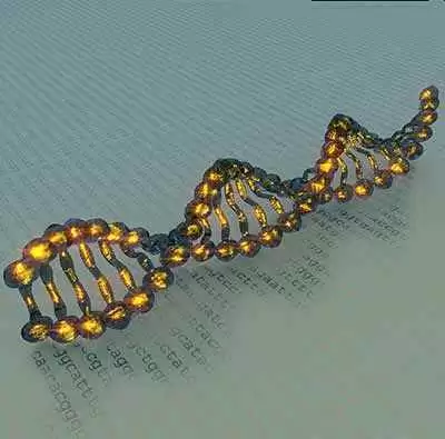 Image: CC--Mehmet Pinarci Image: CC--Mehmet Pinarci