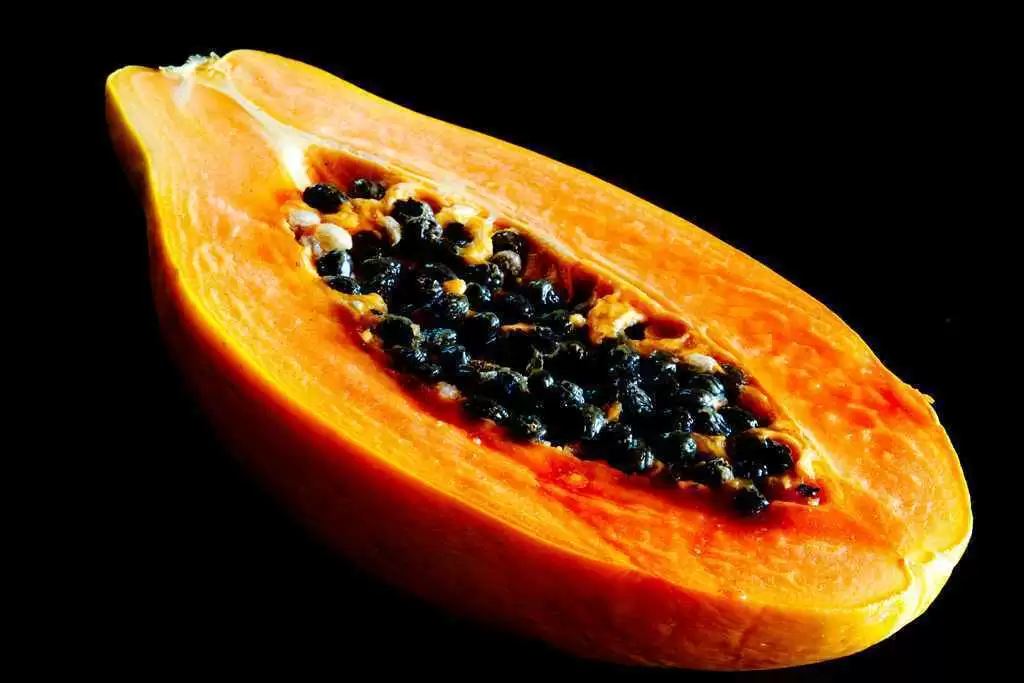 More information about "Can Papaya-based Enzymes Provide a Hedge Against Gluten Ingestion?"