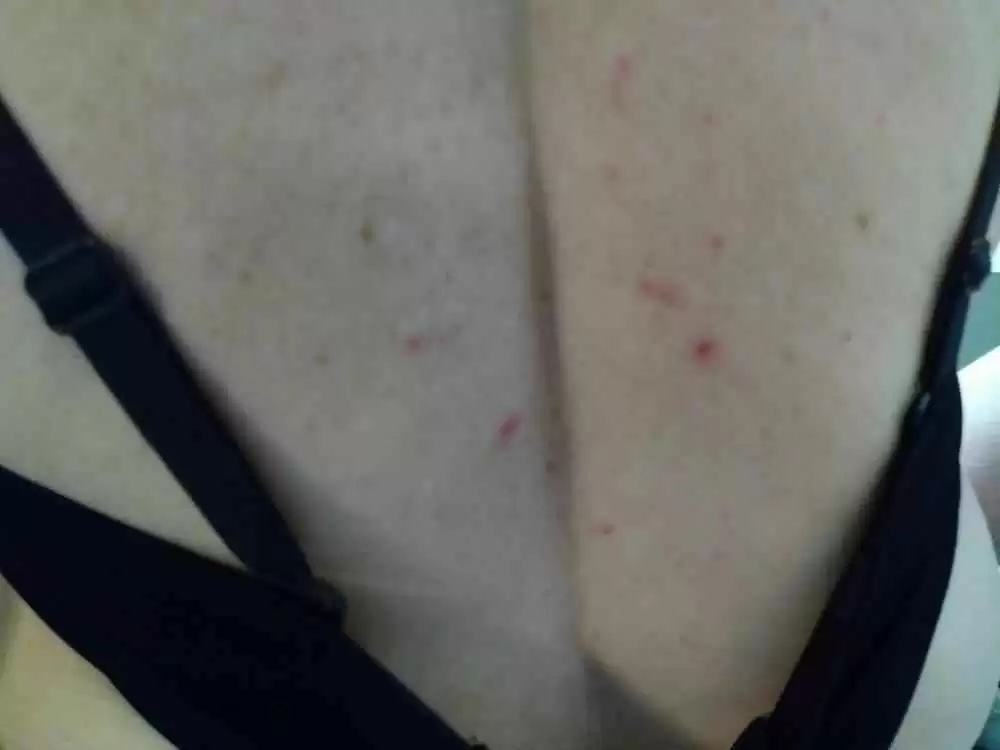 uploaded image