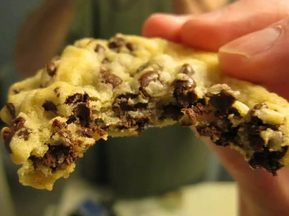 Flourless Chocolate Chip Cookies (Gluten-Free) -