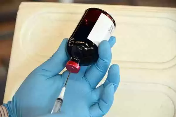 Could a New Vaccine Mean Safe Gluten Consumption for Celiac Disease Sufferers?