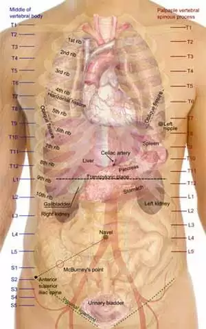 More information about "Prevalence and Causes of Abnormal Liver Function in Patients with Celiac Disease"