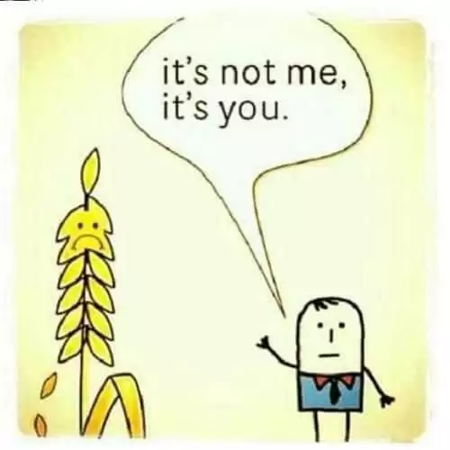 gluten-meme.jpg.4a3cce48113311eb7be3f4c0459fe5a9.jpg
