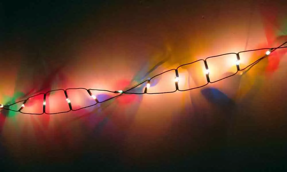 More information about "Ten Facts About Celiac Disease Genetic Testing"