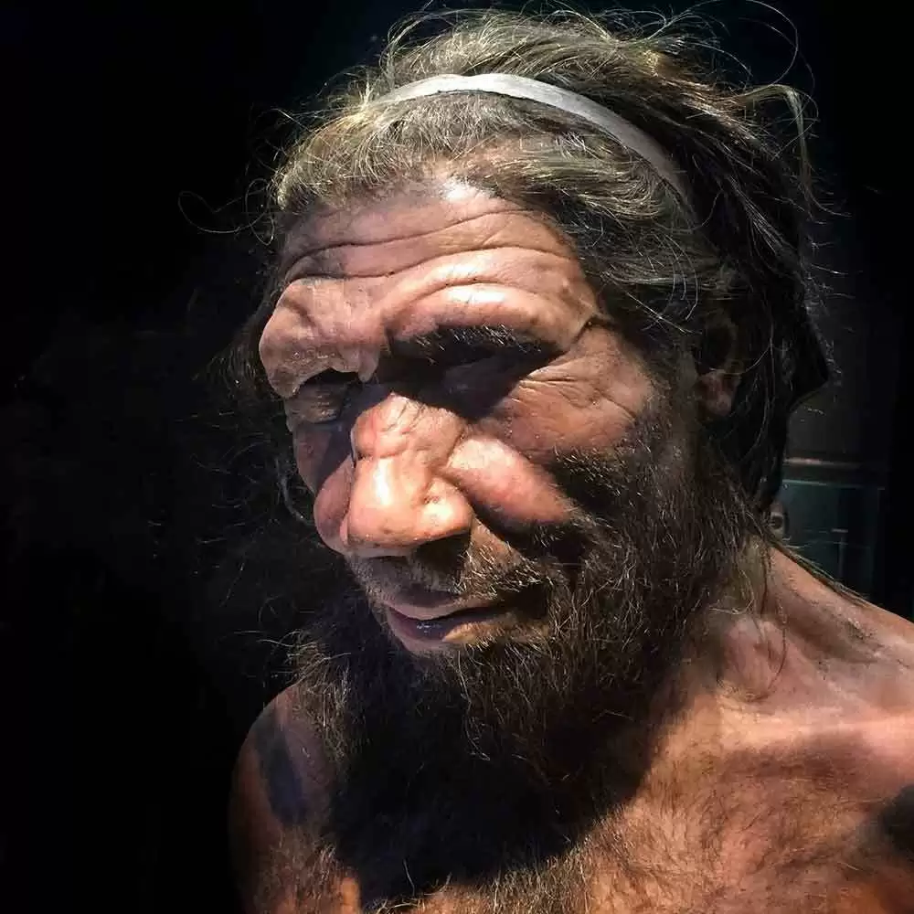 More information about "Celiac Disease Linked to Neanderthal Ancestry"