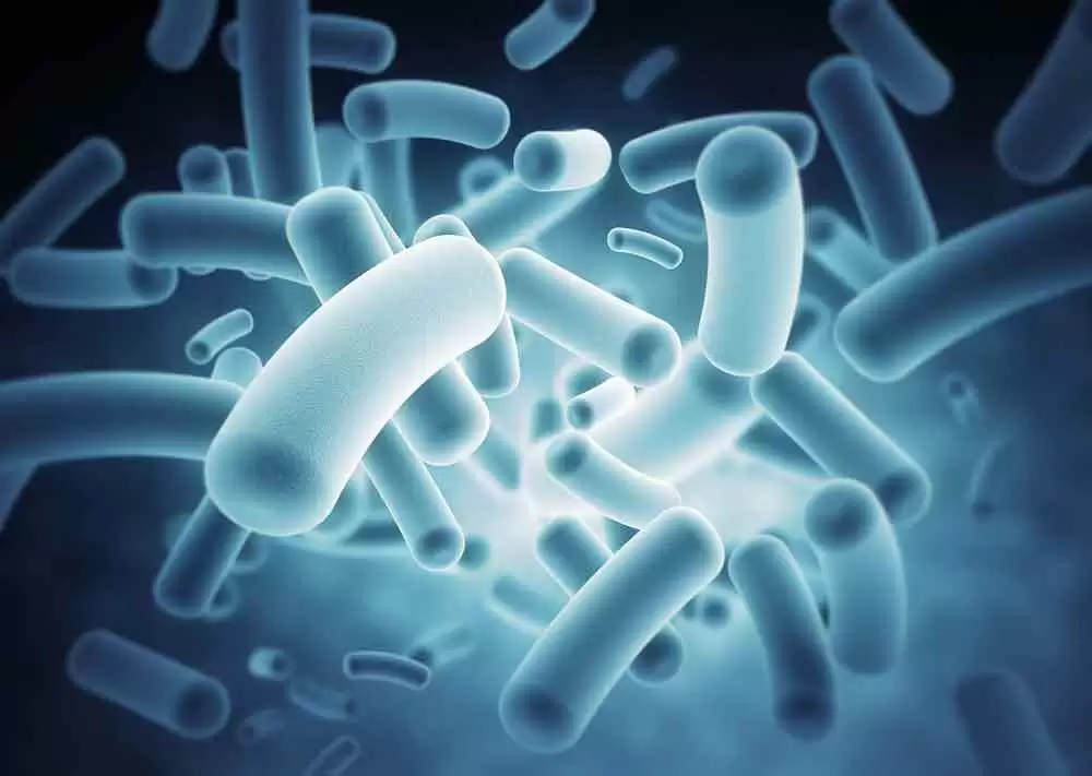 More information about "Genetic Risk for Autoimmune Disease Tied to Gut Microbiome"