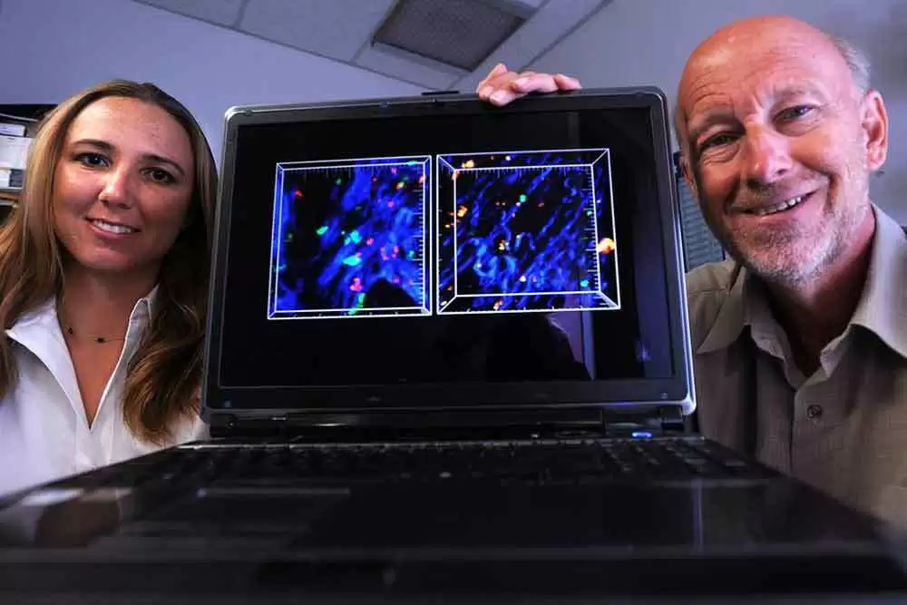 Researchers Document Rogue Cells at Heart of Autoimmune Disease
