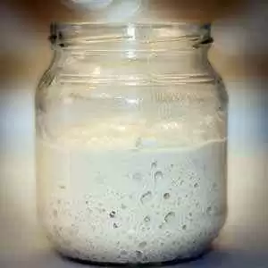 More information about "Gluten-free Sourdough Starter"