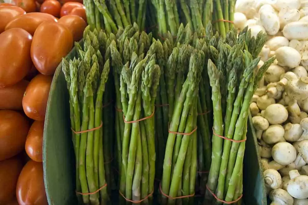 Gluten-Free Fresh Asparagus Patties