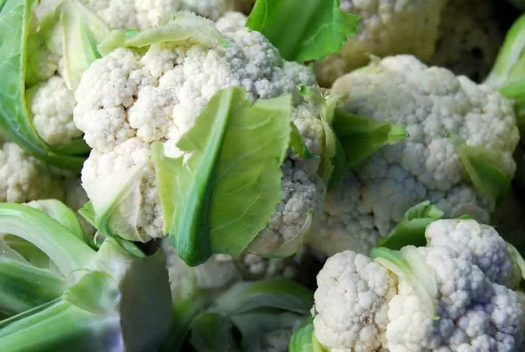 Cauliflower Steaks with Chimichurri Sauce (Gluten-Free)