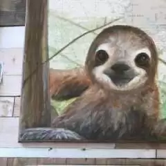 Ollie