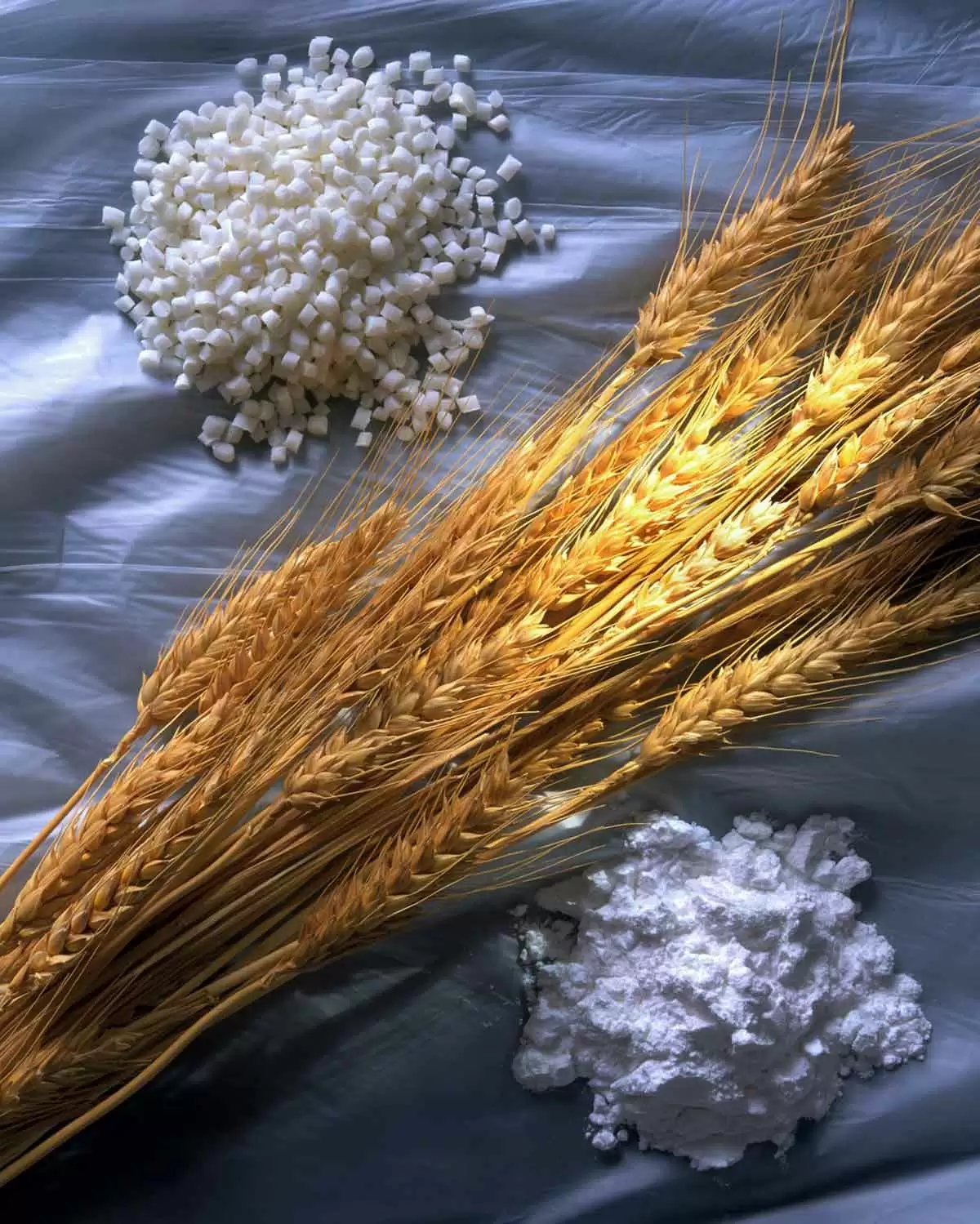 More information about "What People with Celiac Disease Should Know About Wheat Starch"