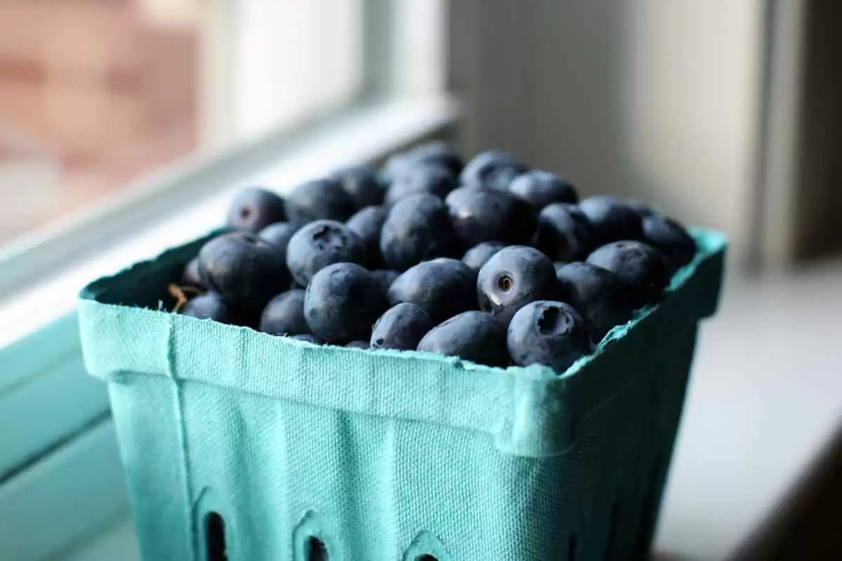 More information about "Fresh Blueberry Walnut Salad (Gluten-Free)"